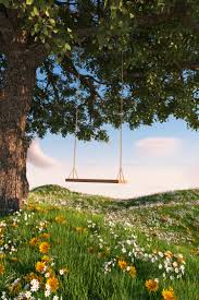 Garden and Parks